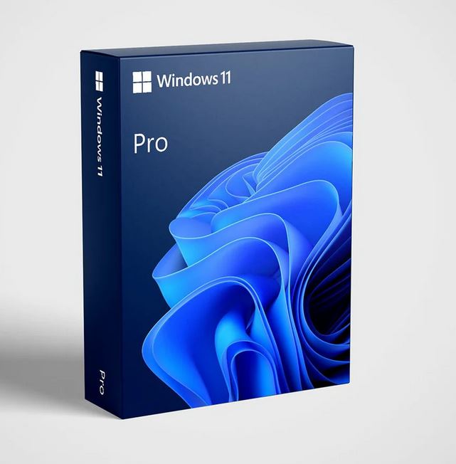 Microsoft Windows 11 Professional 64-bit OEM DVD & COA Pack – The