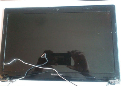 LENOVO G570 15.6" Screen LCD LED COMPLETE ASSEMBLY w/HINGES