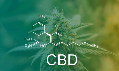 CBD Oils, Creams & Balms