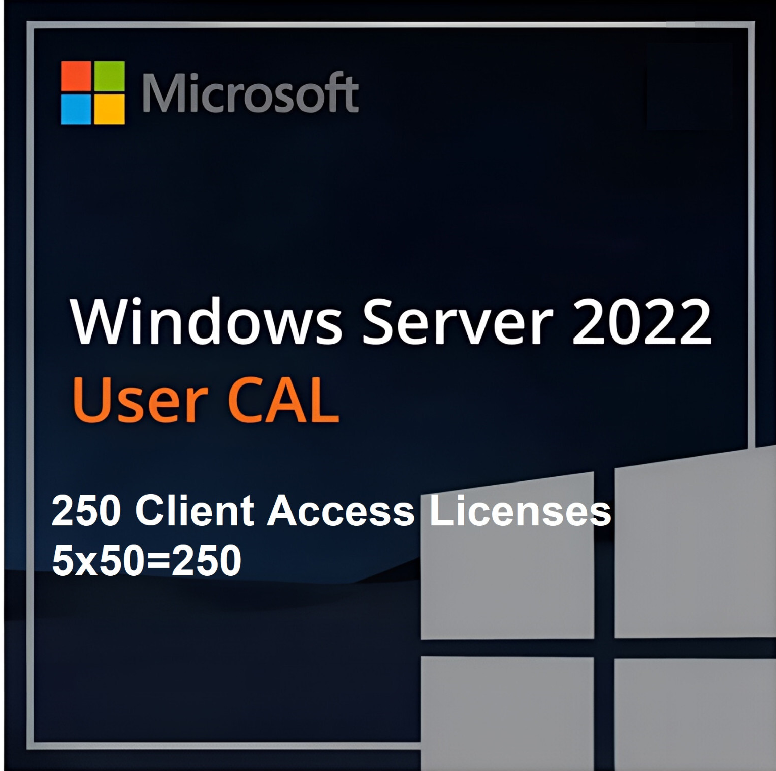 5x ( 5x 50=250 )Microsoft Windows server 2022 Client Access Licesnes B ...