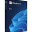 Microsoft Windows 11 Pro Pro 64Bit License Key | Instant Download |