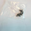 Toshiba Satellite C50D-B Complete Full Laptop Screws Set