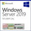 Sealed Microsoft Windows Server 2019 Standard 16 core DVD+COA wRDS Option (50)