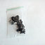 Apple Macbook Pro 15'' A1398 mid 2012 - early 2013 Complete Full Set of Screws