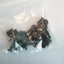 Dell Inspiron 15 5559 15.6" COMPLETE FULL SET OUTER / INTERNAL SCREWS SET