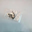 HP 15-db0521sa 15.6” Laptop Complete Full Set of Screws