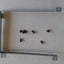 Dell XPS 15 L501X L502X Laptop Hard Drive HDD Caddy + Screws | VGHV1 0VGHV1