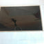 Chi Mei 12.1" LED Screen LED GLOSSY 12.1"  N121IB -L06 REV. C3 / ASUS