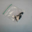 ASUS CHROMEBOOK C300M 13.3" COMPLETE FULL SET OF SCREWS