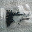 Dell Latitude E6530 15.6" Series GENUINE COMPLETE SCREWS SET