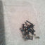 ASUS R554L SERIES Genuine Laptop Complete Screws Set