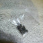 Sony Vaio VPCCW1 PCG-61111M Laptop COMPLETE SCREWS SET / MBOARD KEYBOAD,