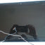 LENOVO G570 15.6" Screen LCD LED COMPLETE ASSEMBLY w/HINGES