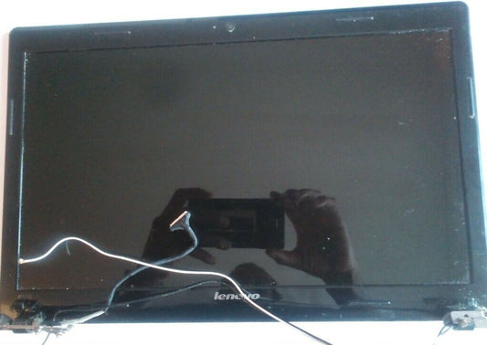 LENOVO G570 15.6" Screen LCD LED COMPLETE ASSEMBLY w/HINGES