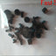 Dell Inspiron 15z- 5523 15.6" GENUINE COMPLETE FULL SCREWS SET