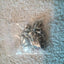 Apple 2011 27' Cinema Thunderbolt Full Set / Complete Screws