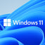 Bootable USB for Windows 11 Home and Professional